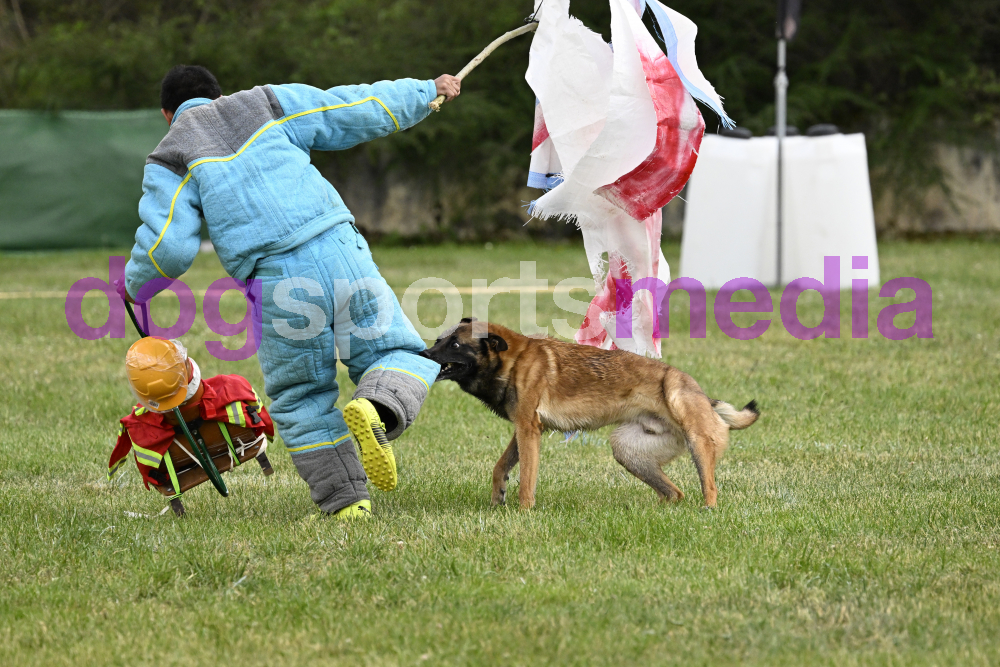 Preview _JRI_20869.jpg